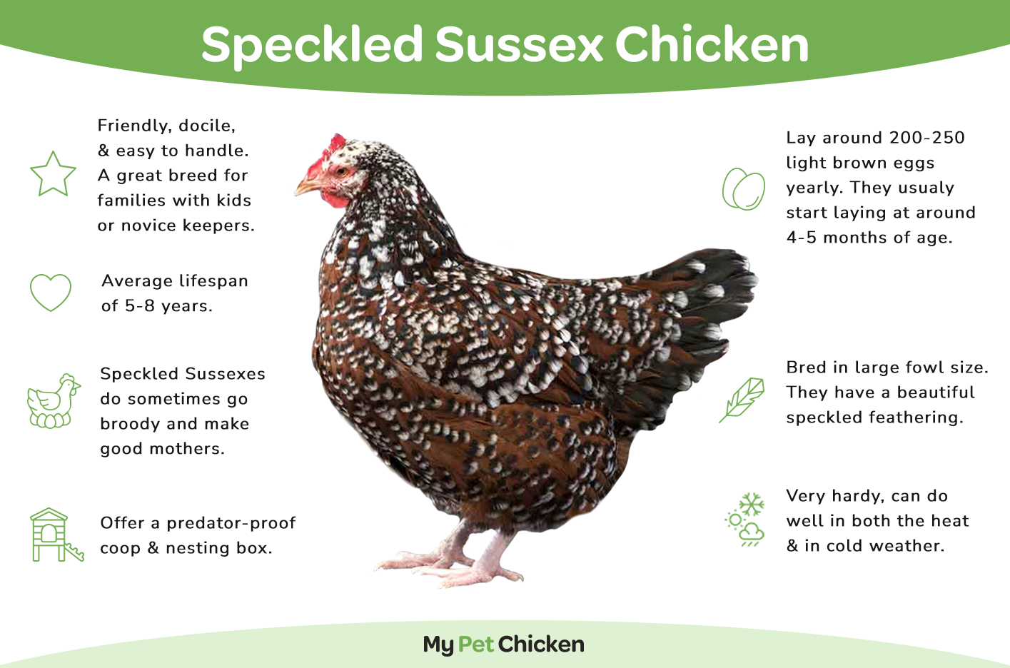 Speckled Susses chicken breed information