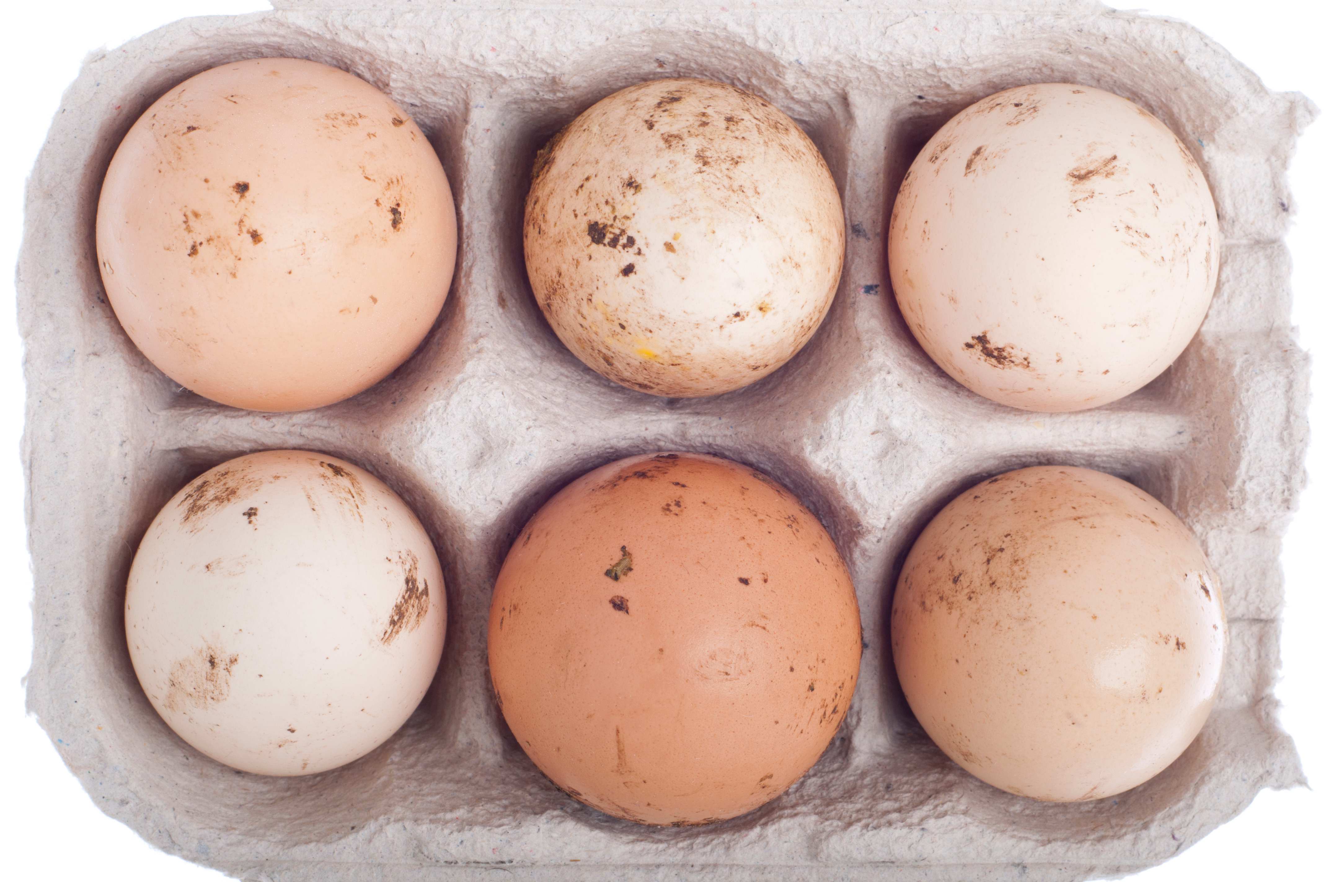 How We Wash Eggs 