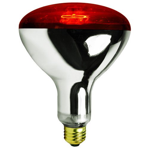 Infrared Heat Lamp Bulb, Red - My Pet