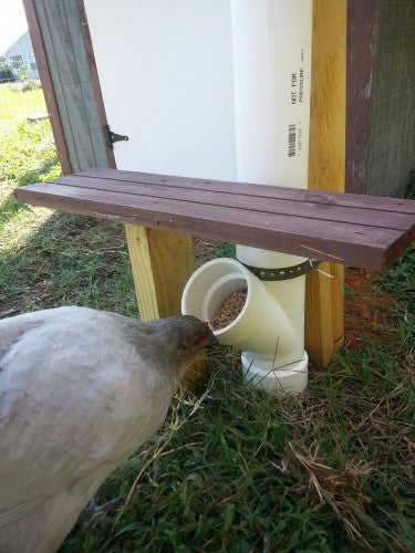 DIY PVC chicken feeder