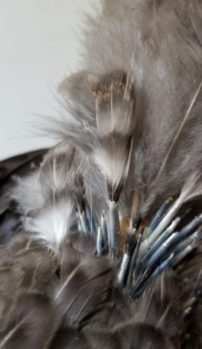 An industrial chicken feather problem — Featherfolio