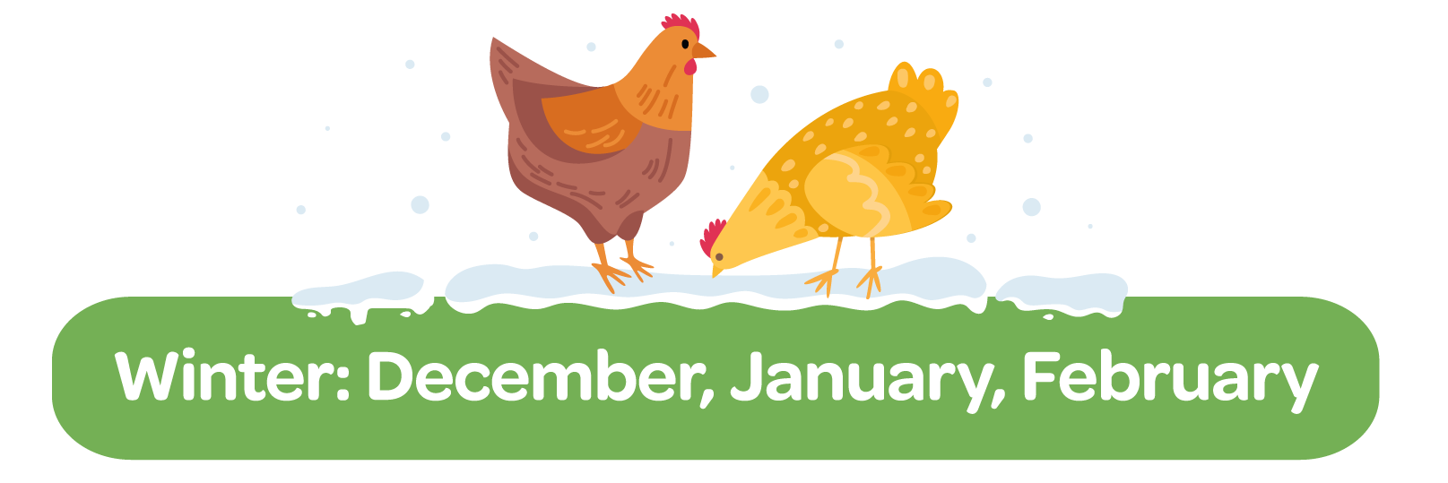 Winter Chicken Care Checklist