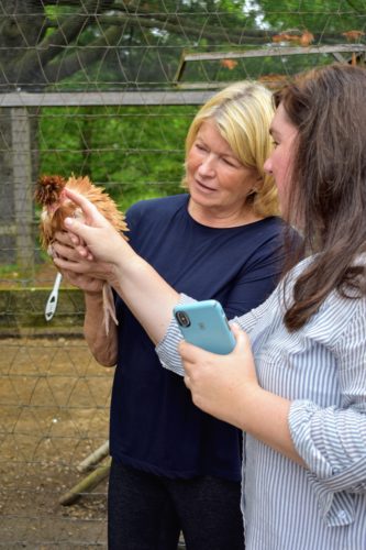 Martha welcomed a Frizzled Naked Neck from our Fun and Funky hatching egg collection into her flock this year.