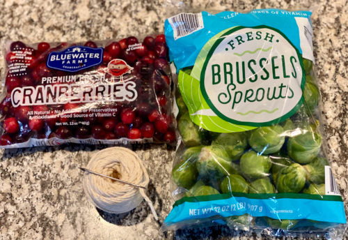 A bag of cranberries, Brussles sprouts, a ball of twine, and needles lay out on a granite kitchen counter. These are the supplies needed to make a DIY Christmas garland for pet chickens.