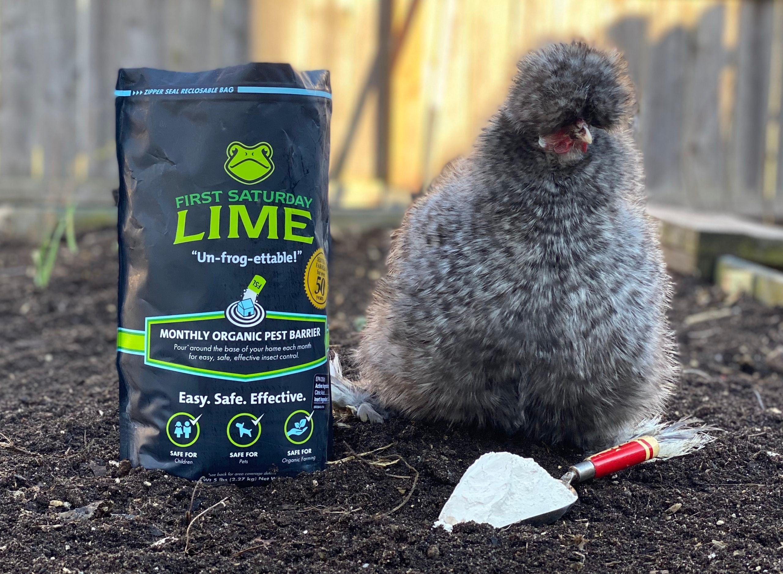 First Saturday Lime & Chickens go together