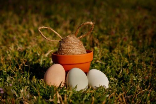 A jute egg bunny is placed in a terra cotta planter with three colorful eggs placed in from of the planter. 