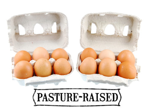 Pasture-raised grocery store eggs are the best
