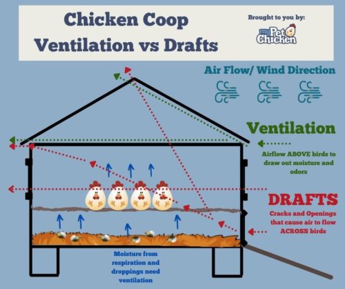 Winter Chicken Coop Preparation