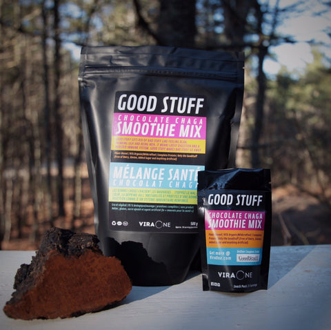GoodStuff Chocolate Chaga Large and Snack Bag in view with sustainably harvested chaga in the foreground and fall cedar view in the background