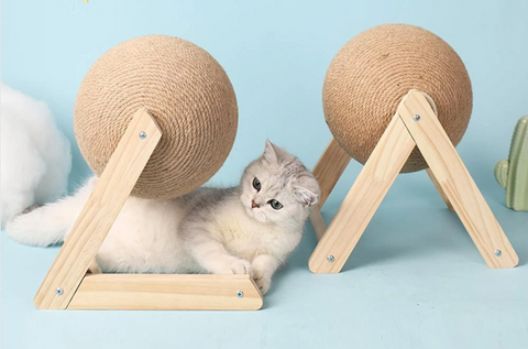 Cat Scratching Ball - denteeq.com