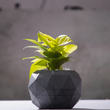 concrete planters