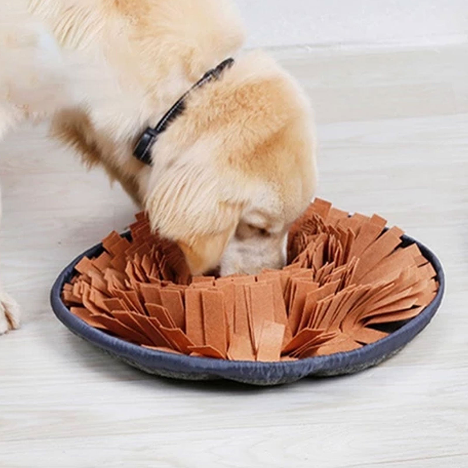 Buy PET ARENA Adjustable Snuffle mat for Dogs, Cats - Dog Puzzle Toys,  Enrichment Pet Foraging mat for Smell Training and Slow Eating, Stress  Relief Dog Toy for Feeding, Dog Mental Stimulation