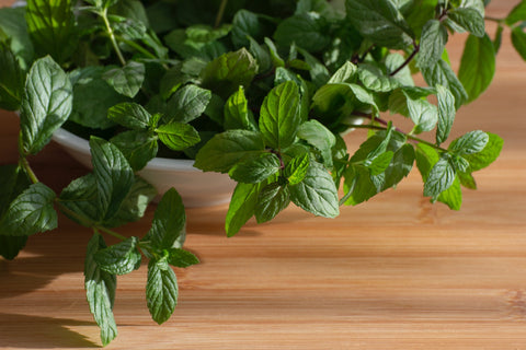 Tidak hanya memiliki aroma khas yang menyegarkan, peppermint juga menyimpan segudang manfaat untuk kesehatan.