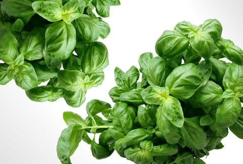 Tidak hanya dapat menambah aroma pada masakan, daun basil juga menawarkan berbagai manfaat untuk kesehatan lho! Apa saja y