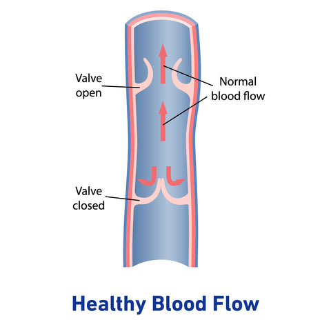 Healthy blood flow diagram