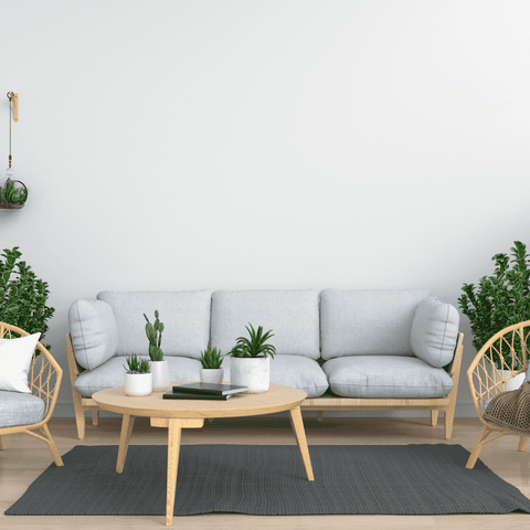 Por qué integrar plantas en tu decoración interior