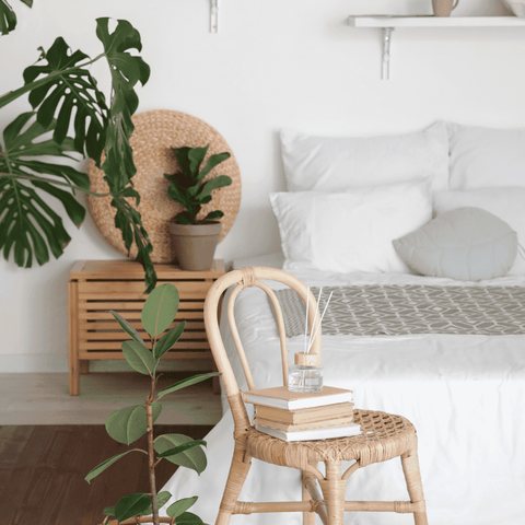 Plants in the interior decoration of a room