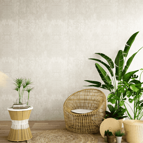 Plants for tropical interior decoration