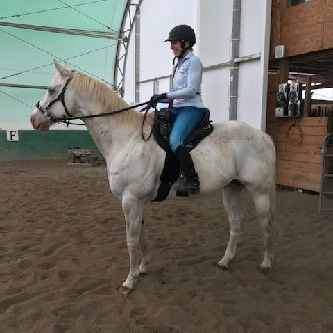 Woman sitting on a white horse in an indoor arena using the Freeform Ultimate Trail treeless saddle.