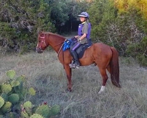 Former former Editor-in-Chief of Trail Blazer magazine and Senior Editor of EQUUS magazine, Bobbie Jo Lieberman, riding her horse in a Freeform treeless saddle.