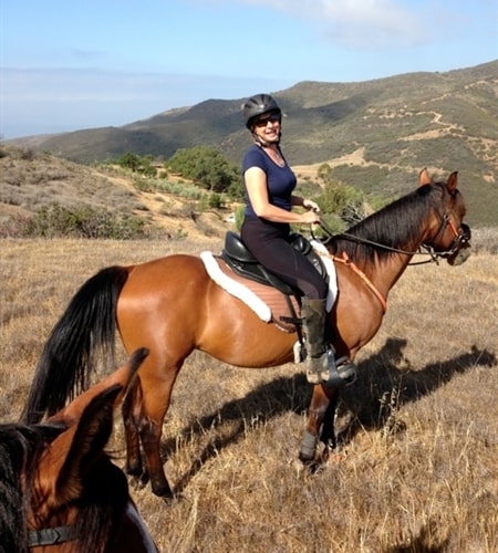 Woman riding a bay horse on a hill top in a Freeform Ultimate Trail treeless saddle.