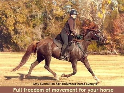 Freeform treeless saddles offer full freedom of movement for your horse