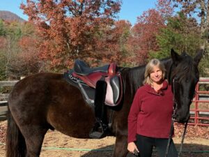 PathfinderPJ Treeless Saddle on a Tennesse Walking Horse