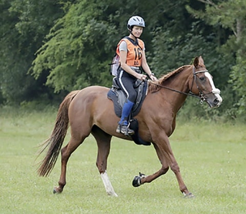 woman endurance rider in a Freeform treeless saddle trotting her sorrel horse through an open grassy area with trees in the background.