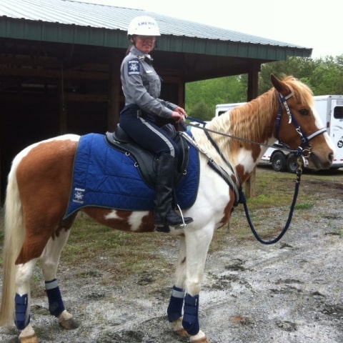 Mounted police officer on a sorrel and white paint horse wearing a Freeform treeless saddle.