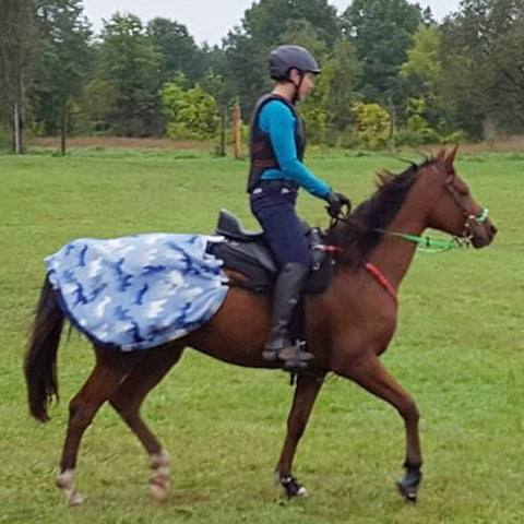 Woman riding her bay Arabian horse on the grass after finishing her first endurance ride using a Freeform treeless saddle.