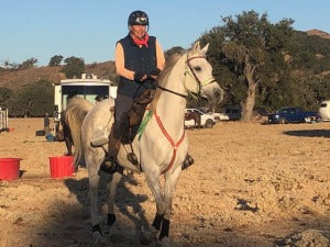 Nina B riding Nino in a Freeform treeless saddle pad in a 50 mile ride