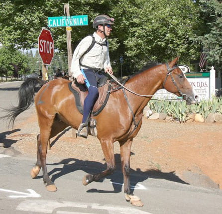 2010 Tevis Cup winner, John Crandell riding his bay horse, Heraldic, on California Street in a Freeform Classic Treeless Saddle.