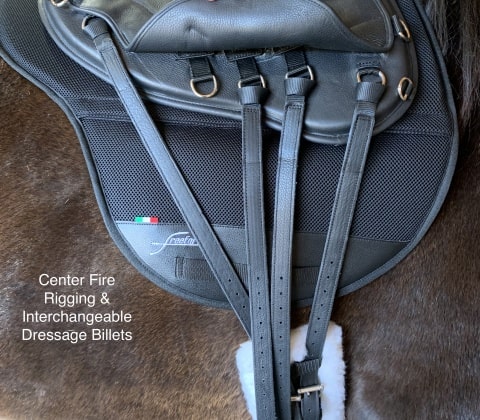 Freeform saddle centerfire rigging and interchangeable dressage billets.