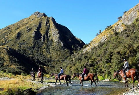 Horse and riders crossing a creek on a horse trekking trip in New Zealand. Horse are all wearing Freeform treeless saddles.