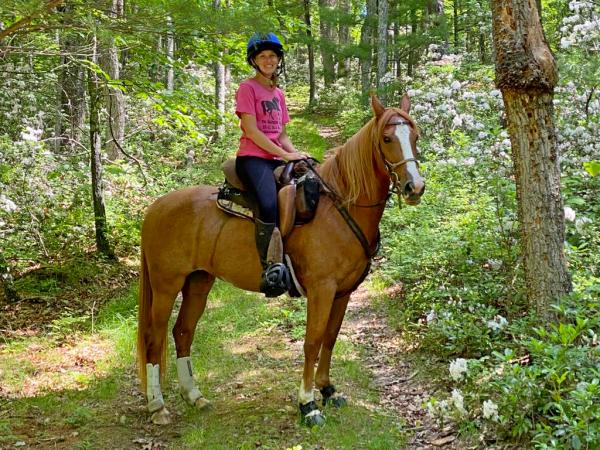 Woman sitting on her chestnut colored horse on a wooded trail in a Freeform Pathfinder PJ treeless saddle