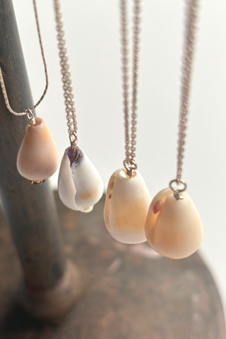 shell chain necklace