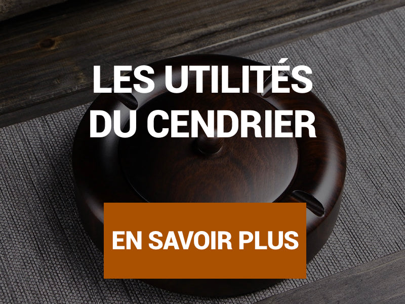 Utilité Du Cendrier