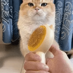 Self cleaning cat brush | Yourcatneeds