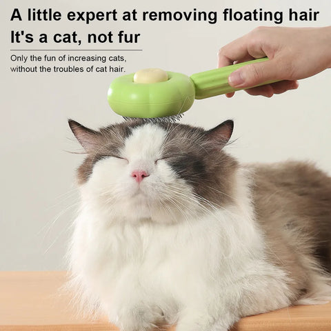 स्वयं सफाई बिल्ली ब्रश | आपकी बिल्ली की जरूरत है