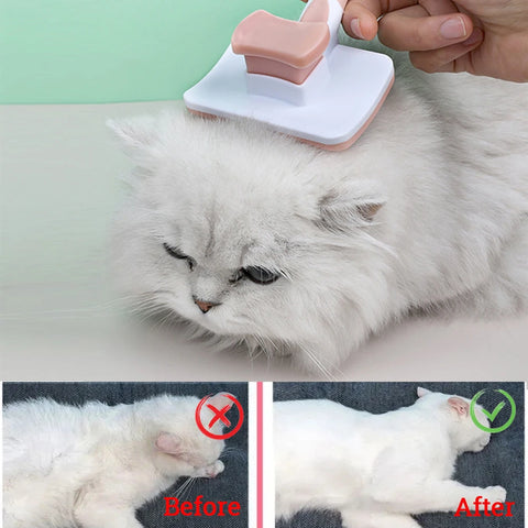 Self cleaning cat brush