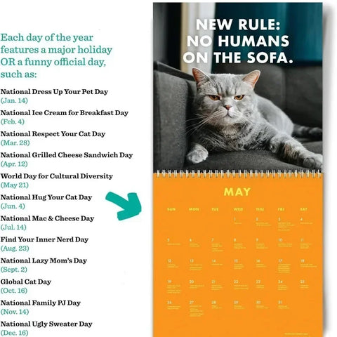 Pissed off cats calendar