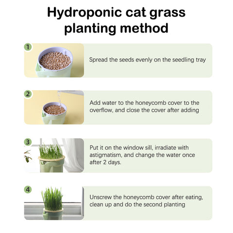 Метод посадки комплекта для посадки на гидропонную траву для кошек