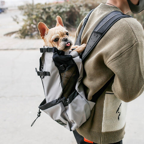 Собачья рюкзак
