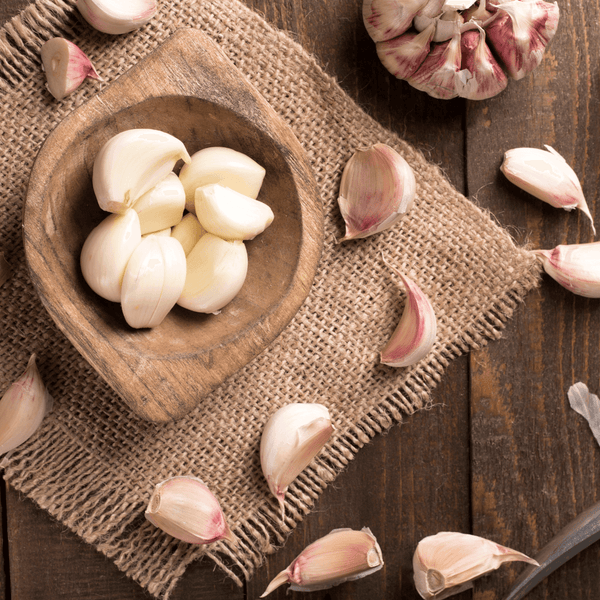 Garlic - Best Superfoods | ColoFlax