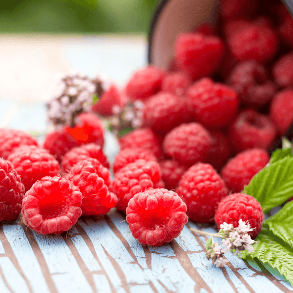 Raspberries - Best Superfoods | ColoFlax