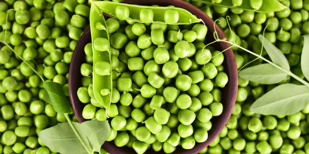 Green Peas & Split Peas
