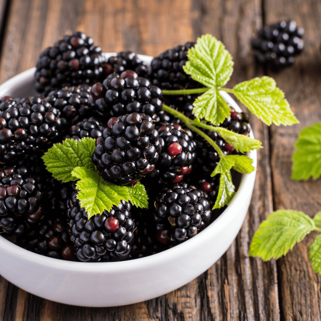 Blackberries - Healthiest Fruits (ColoFlax)