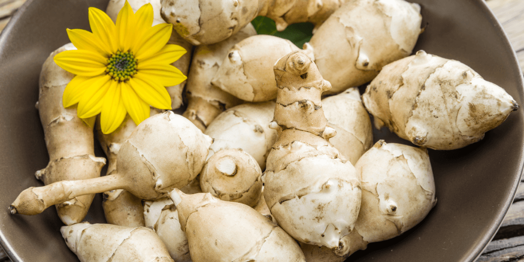 Jerusalem Artichokes and Chicory