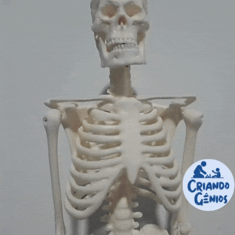 Modelo de esqueleto anatômico Escolar humano 45 cm para ensino escolar