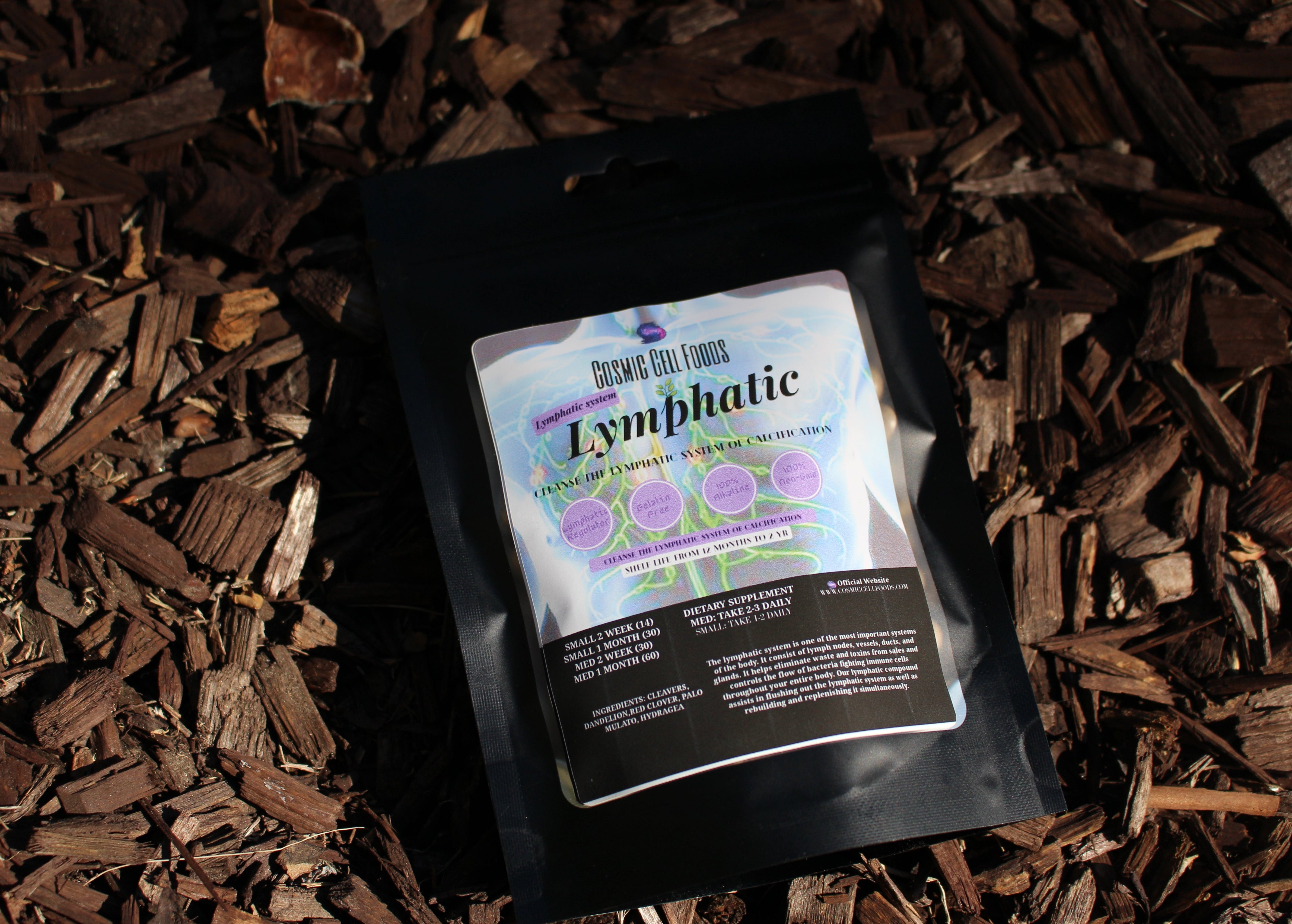 Image of Lymphatic Herbal Tablets - One of The Body's Most Important Systems